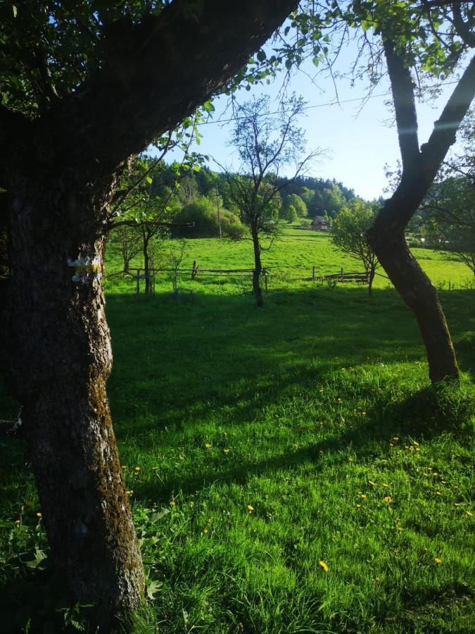 Вілла Dom Nad Stryszawka Z Balia I Sauna - Domek Wypoczynkowy Стришава Екстер'єр фото